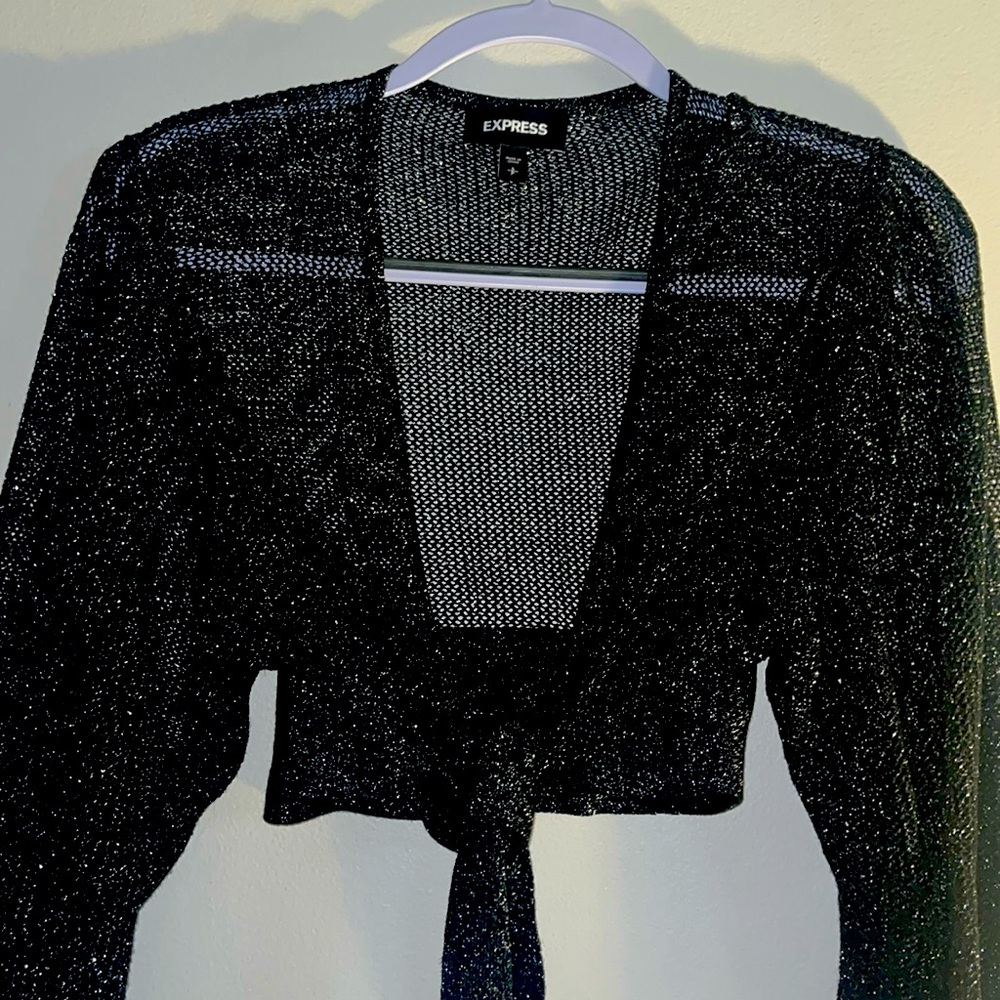 Express black & silver sheer sweater- $24!
